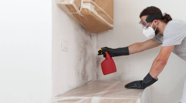 Professional Bathroom Mold Removal technician working in Ashland, IL