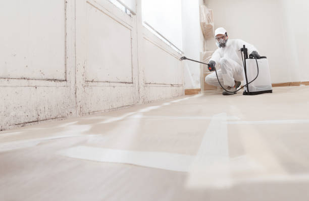 24/7 Emergency Bathroom Mold Removal experts in Ashland, IL